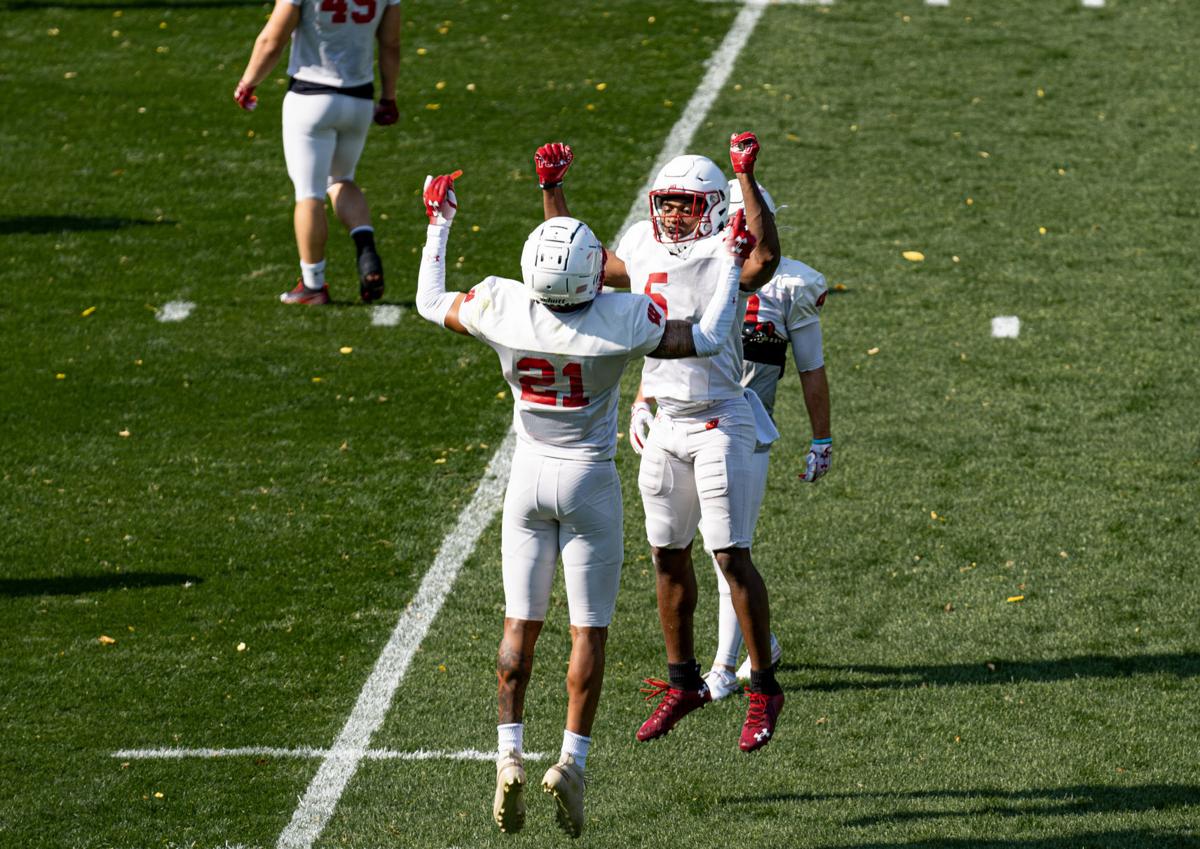 15+ Badger Football PNG