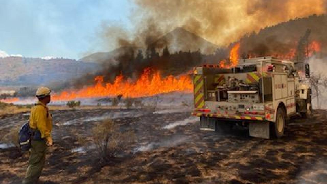 17+ Colorado Fires
 Pics