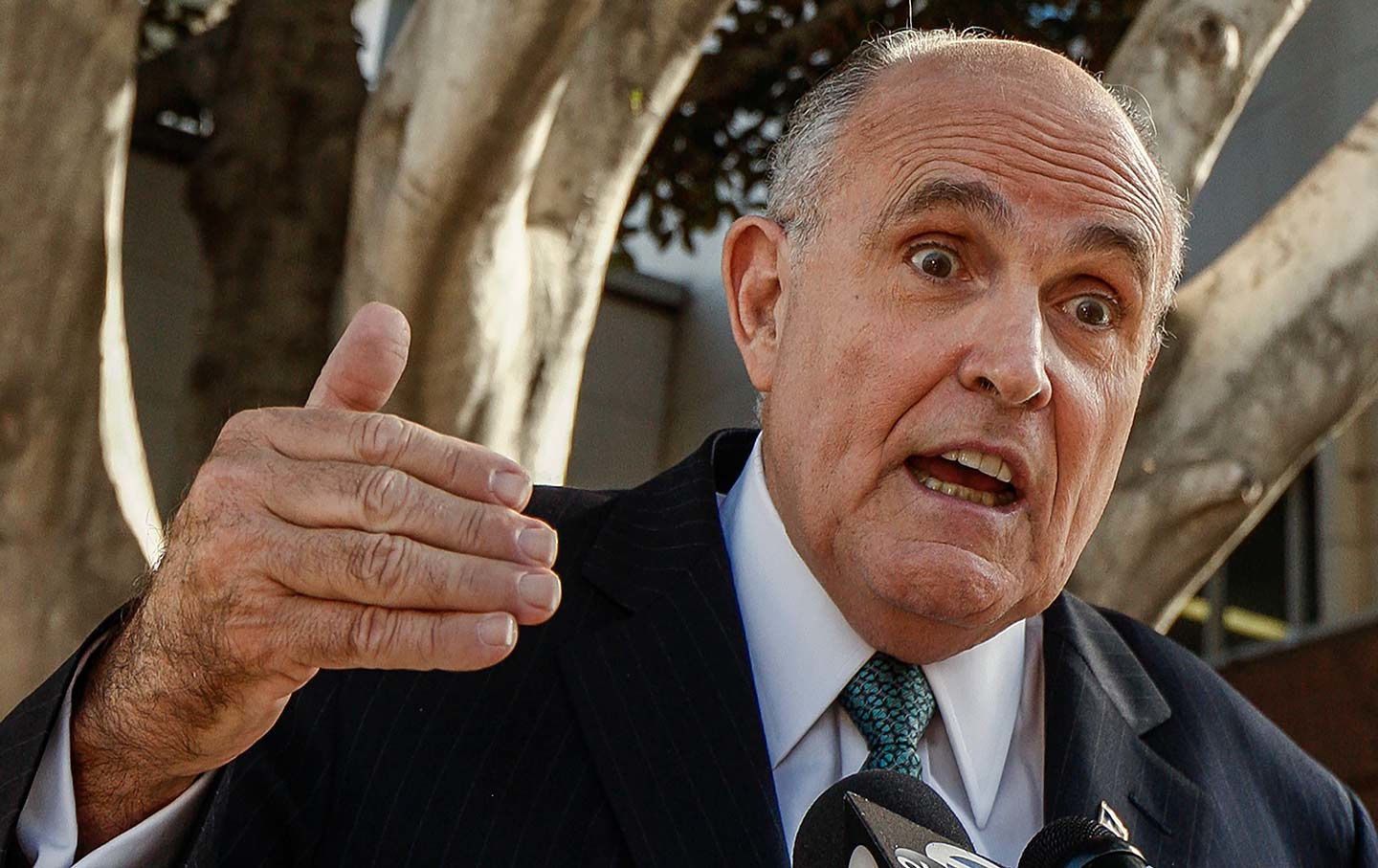 View Rudy Giuliani Hand Pics
