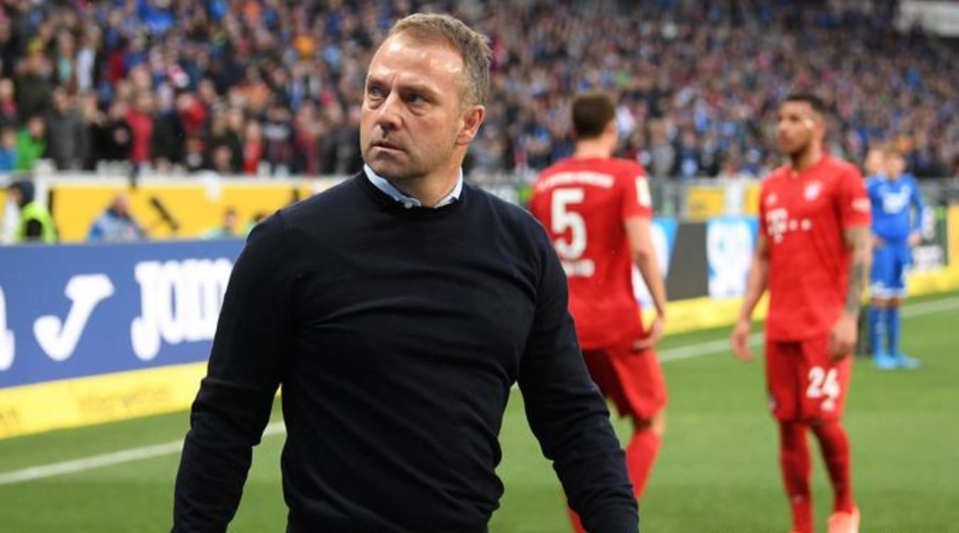 View Hoffenheim PNG