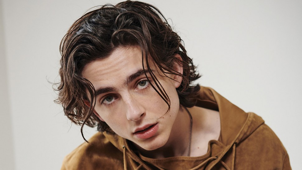 14+ Timothee Chalamet Dune Background
