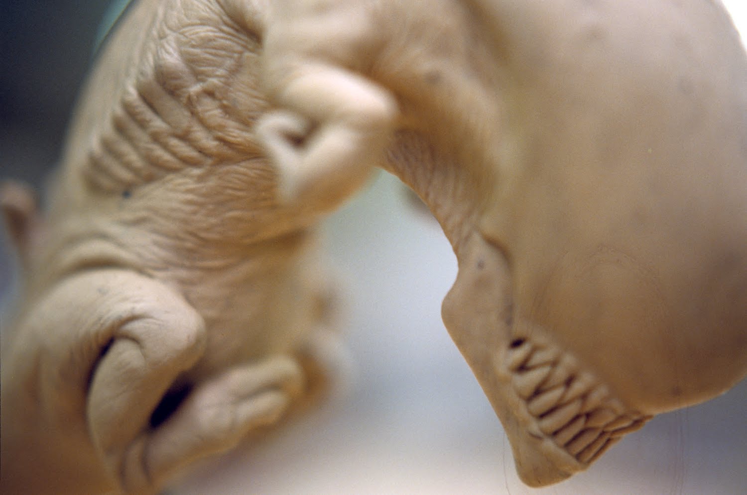 Get Sigourney Weaver Alien 3 Background