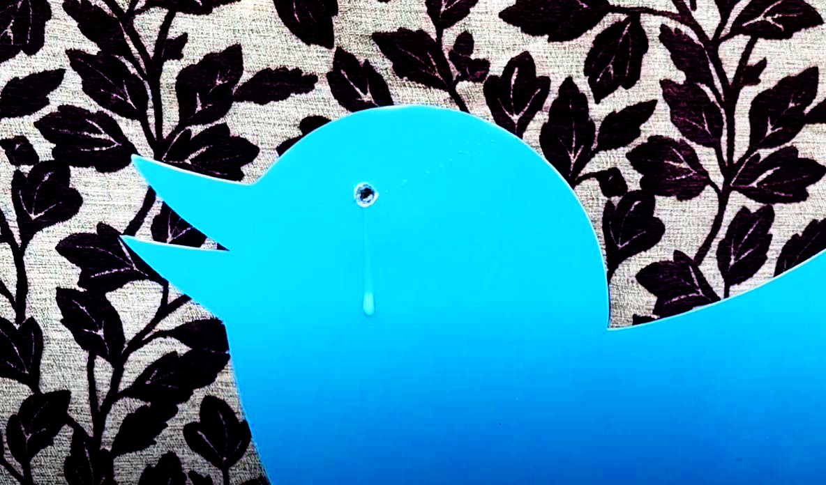 Tears For Twitter: A Artful Raspberry Pi Undertaking