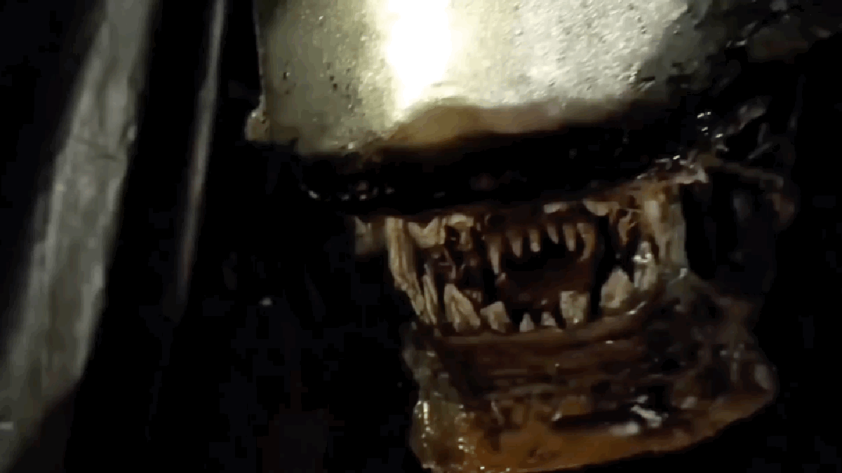 Alien Will get Cardboard Remake in a Low-Price range Brief Movie