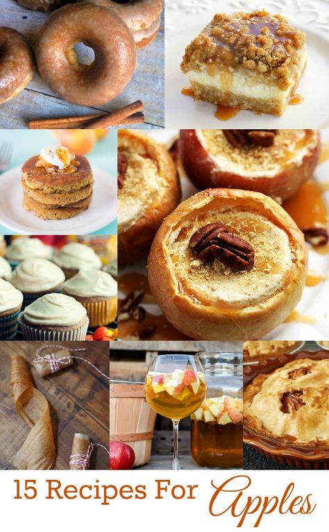 Apple Recipes From The Orchard You Picked Them, Now What? 15 Delicious Apple Recipes –