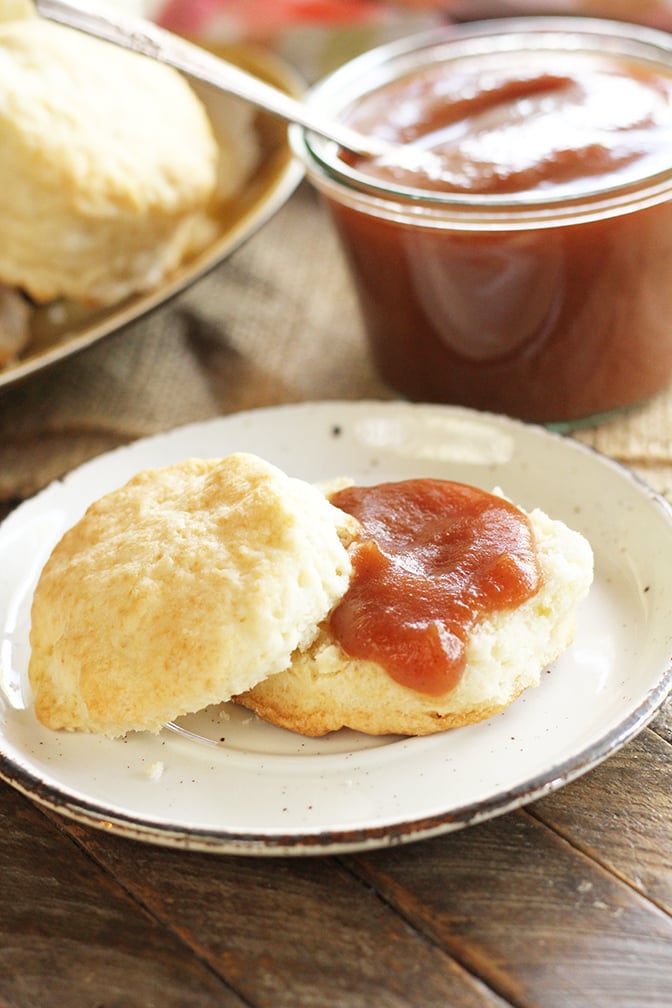 Apple Butter Baking Recipes Slow Cooker Apple Butter